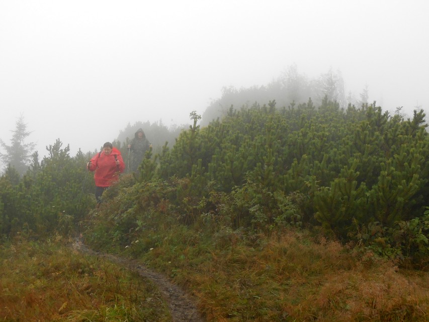 img00023.jpg