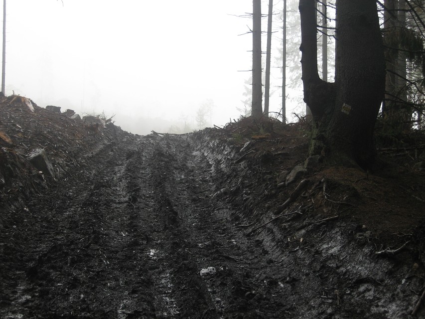 img00034.jpg