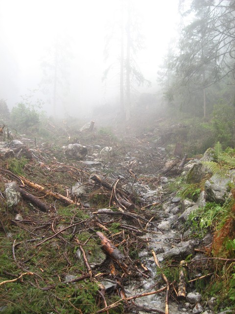 img00035.jpg