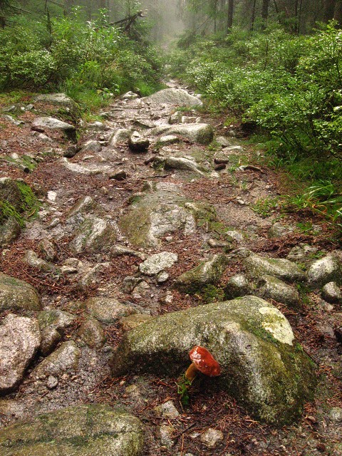 img00036.jpg