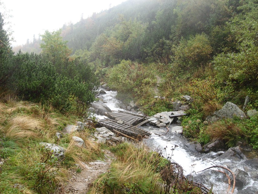 img00038.jpg