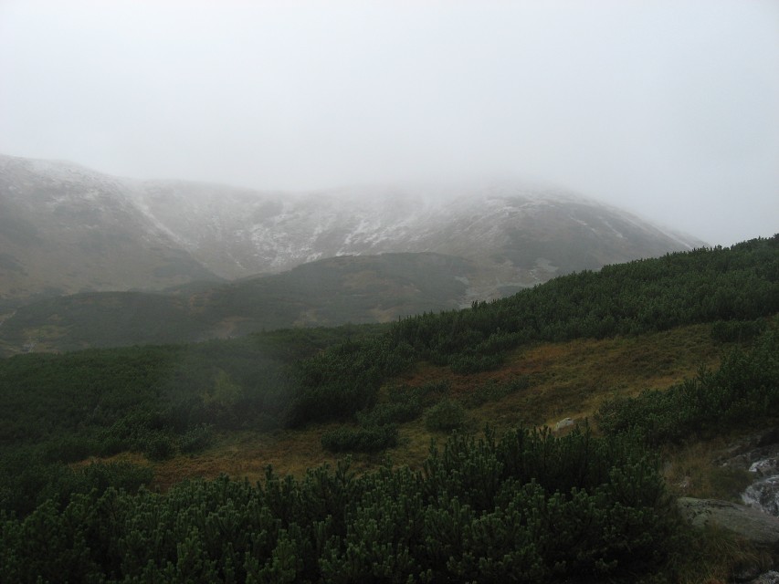 img00039.jpg