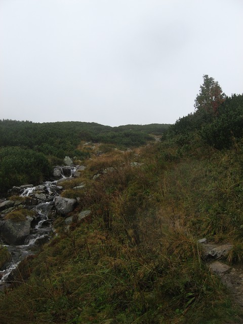 img00040.jpg