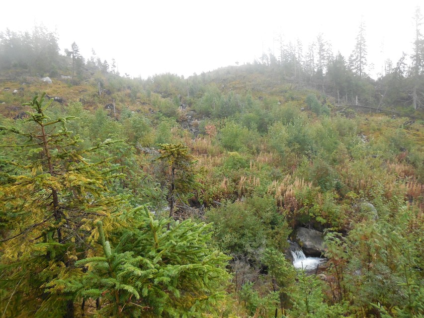 img00044.jpg