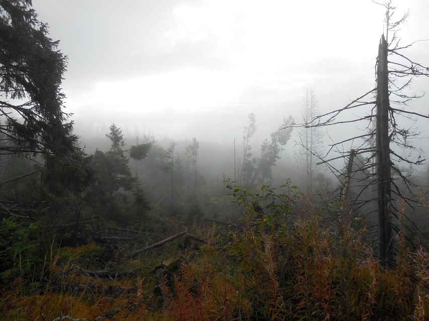 img00045.jpg