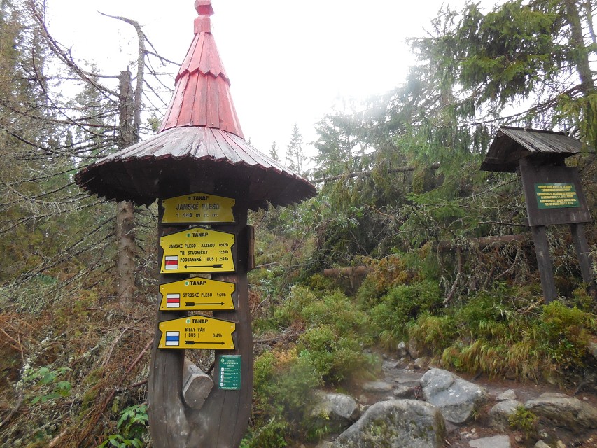 img00049.jpg