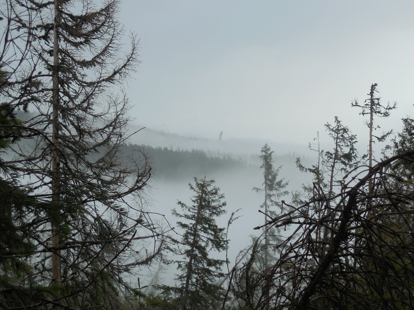 img00052.jpg