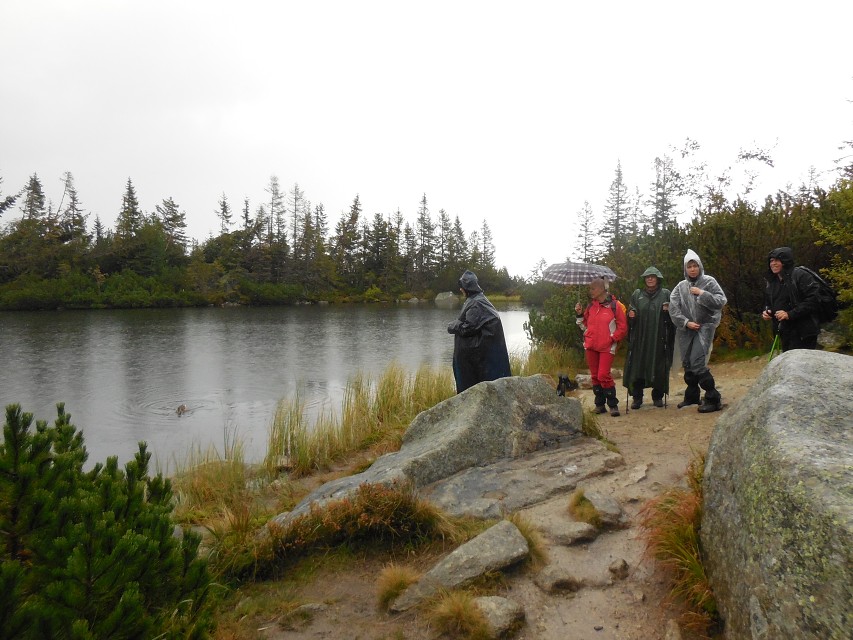 img00055.jpg