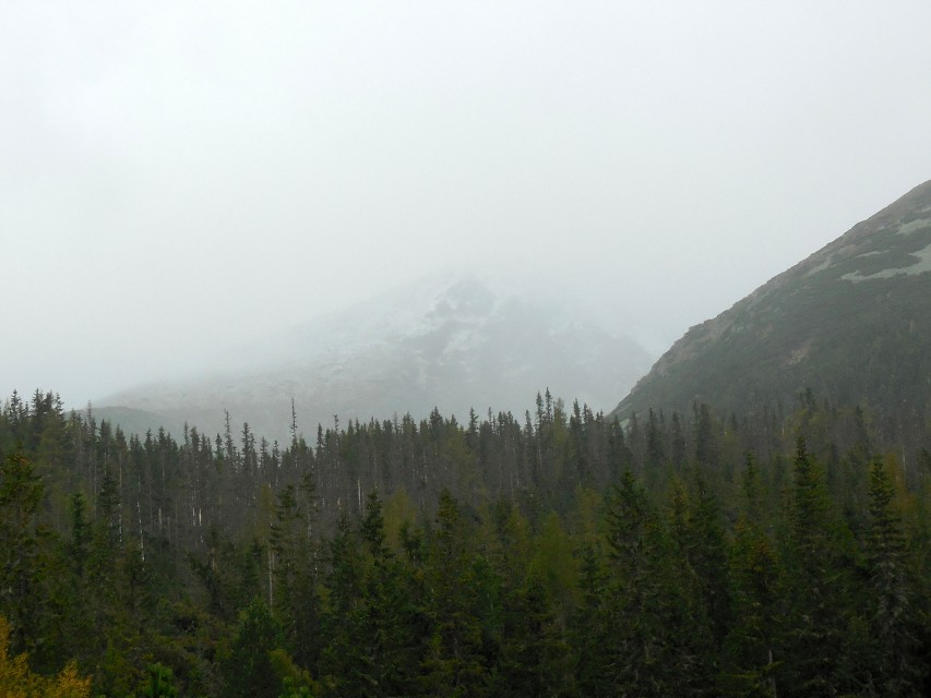 img00056.jpg