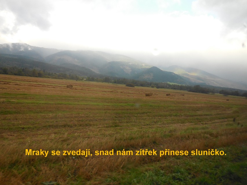 img00061.jpg