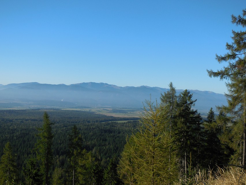 img00066.jpg