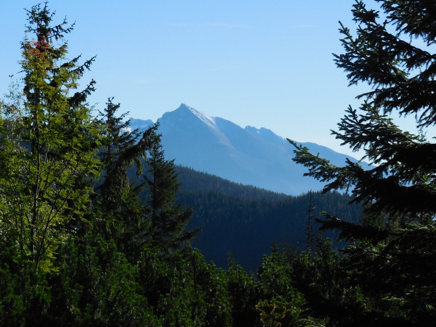 img00074.jpg