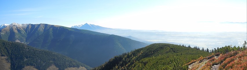 img00079.jpg