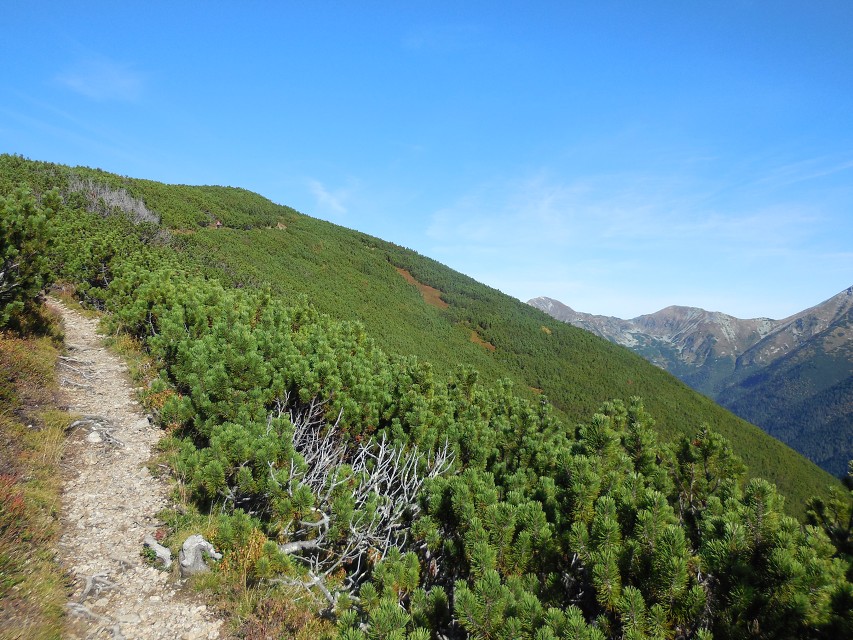 img00082.jpg