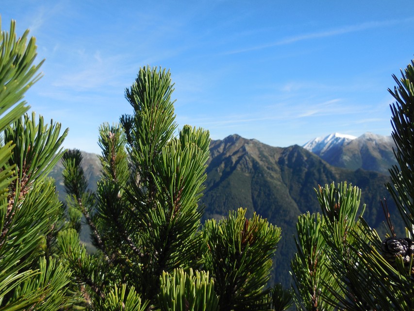 img00086.jpg