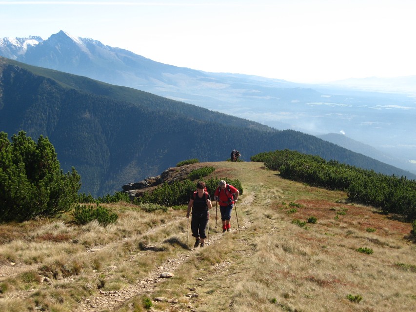 img00089.jpg