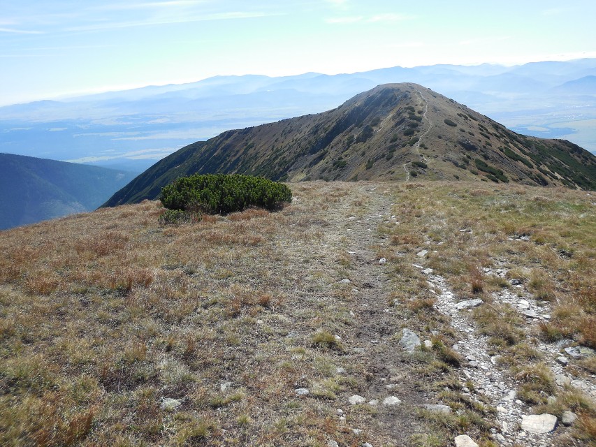 img00093.jpg