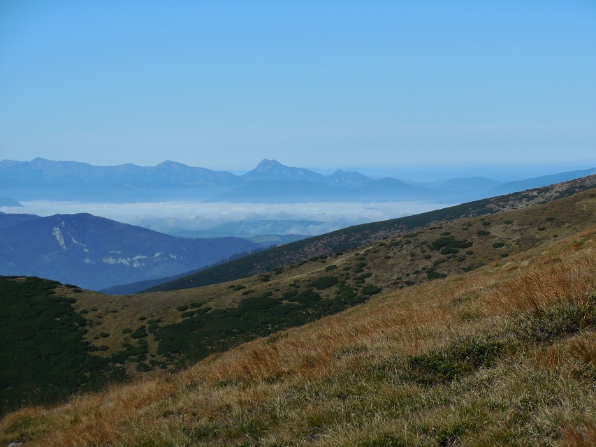 img00094.jpg