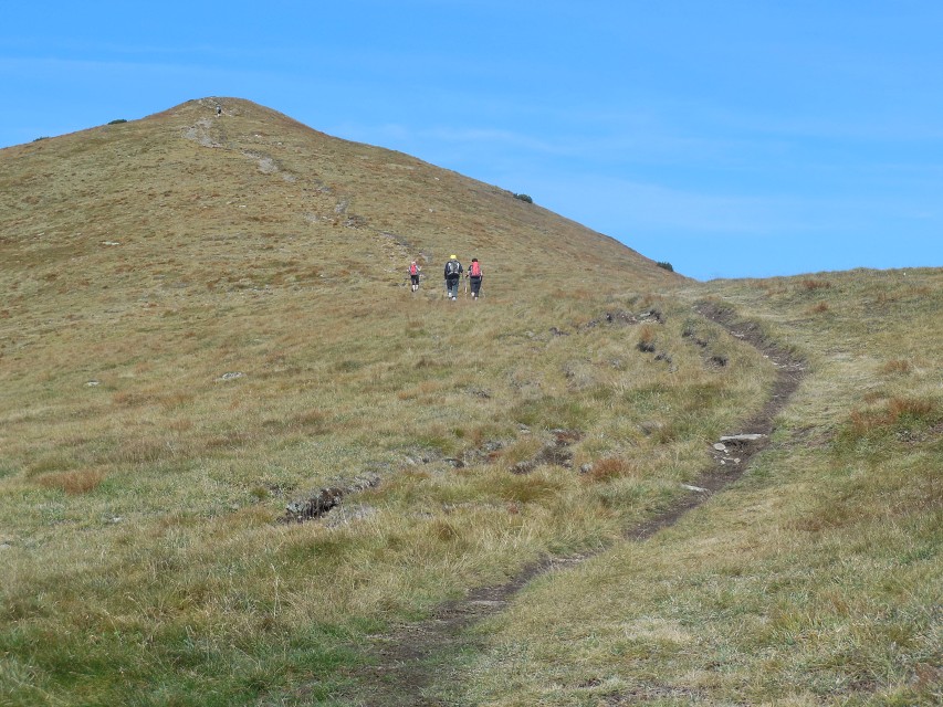 img00095.jpg
