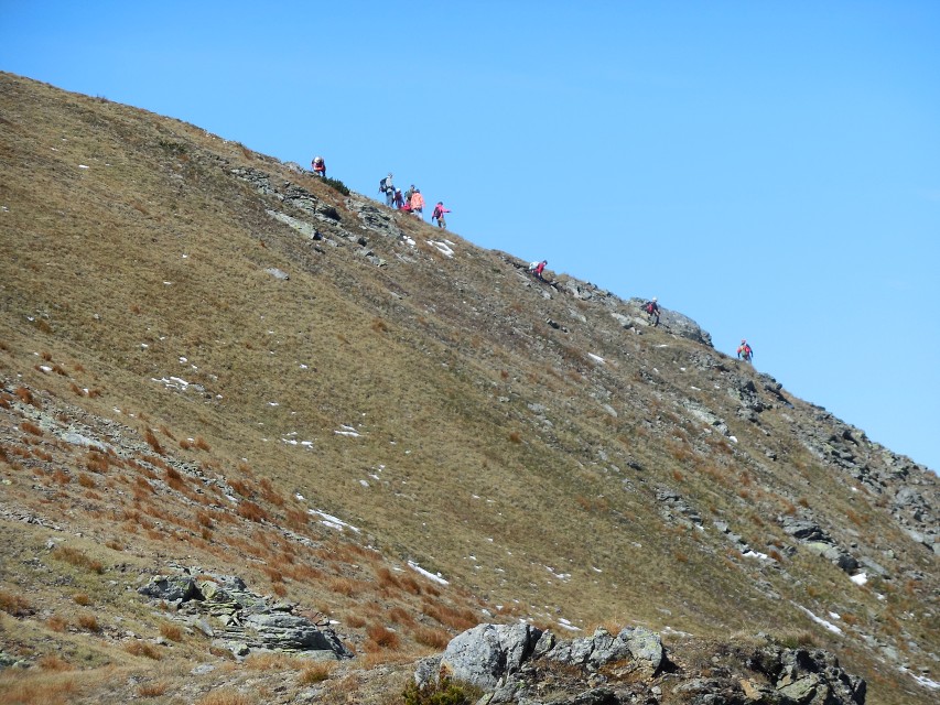 img00099.jpg