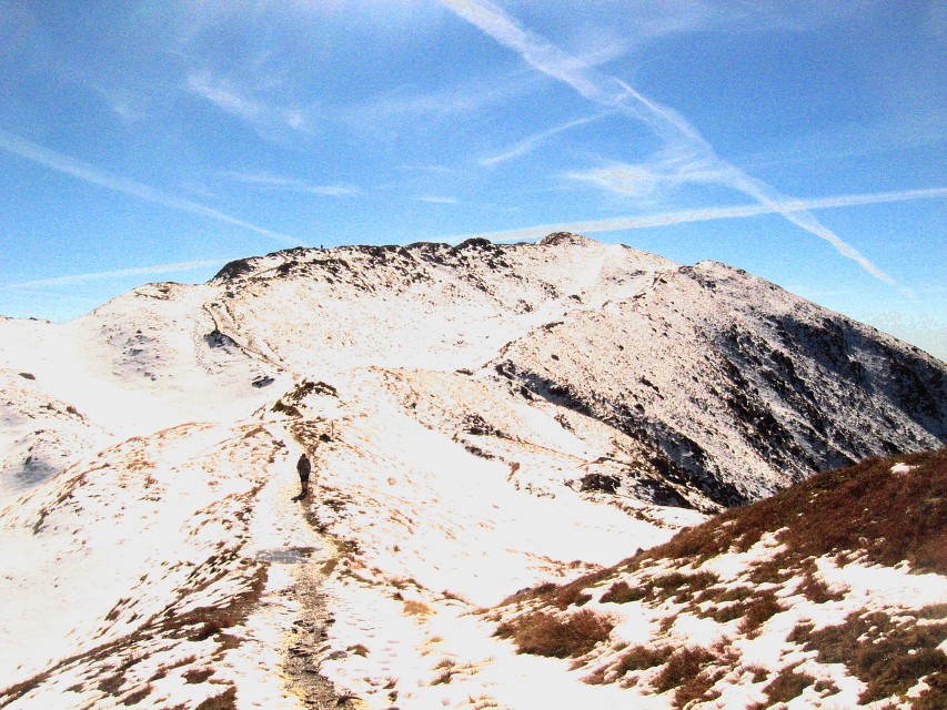 img00110.jpg