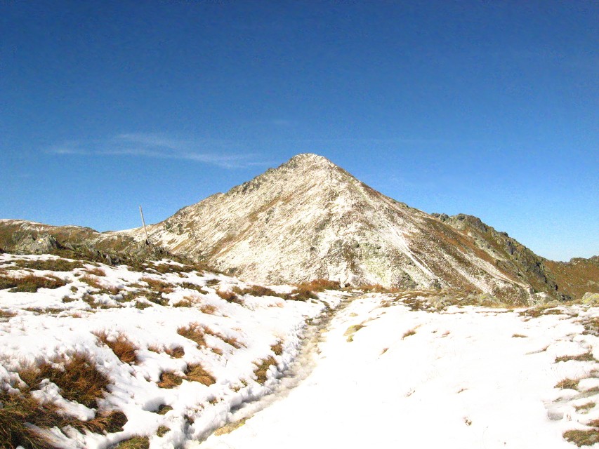 img00111.jpg