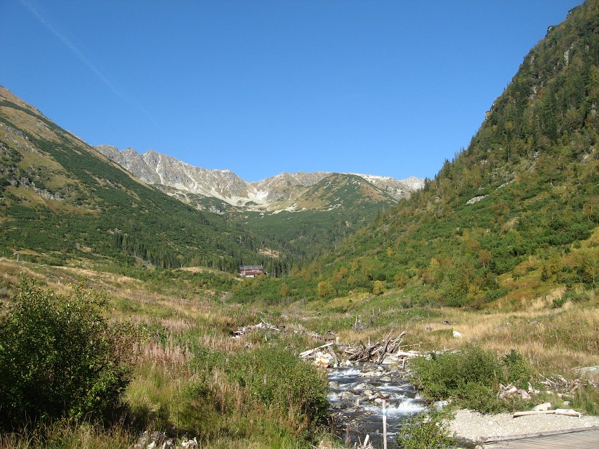 img00114.jpg