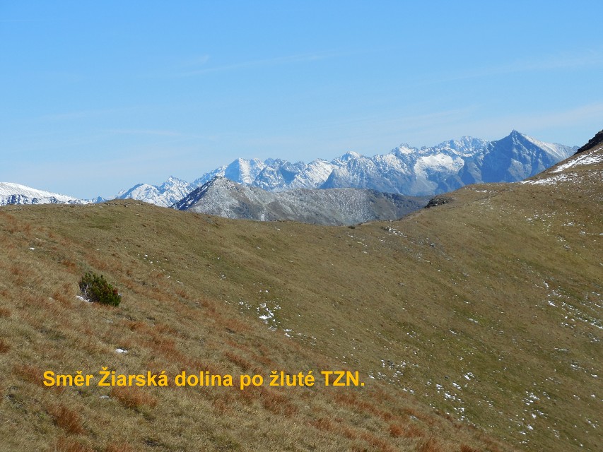 img00115.jpg