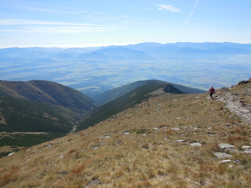 img00117.jpg