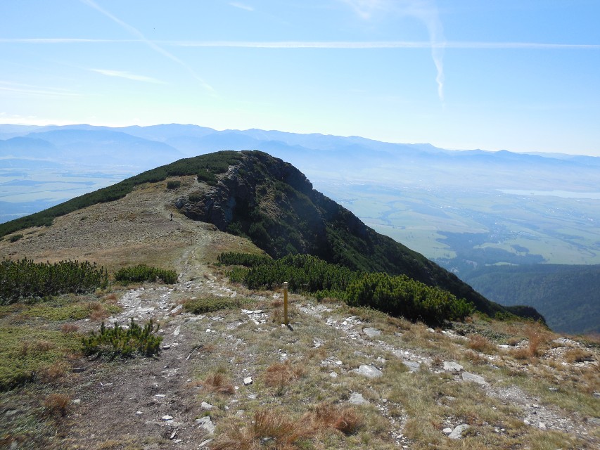 img00121.jpg