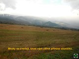 thn00061.jpg