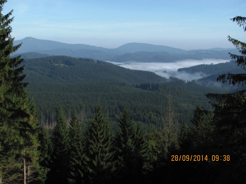 img00009.jpg