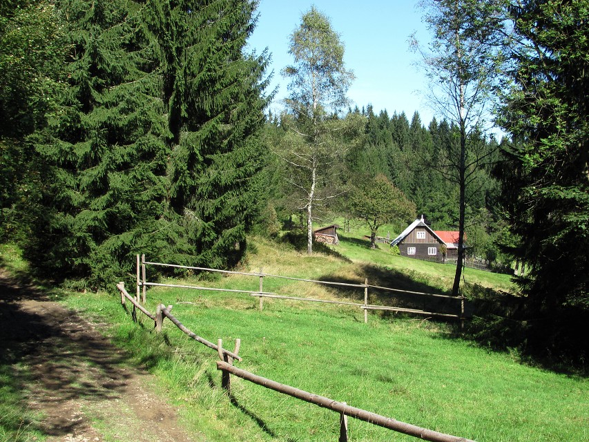img00050.jpg