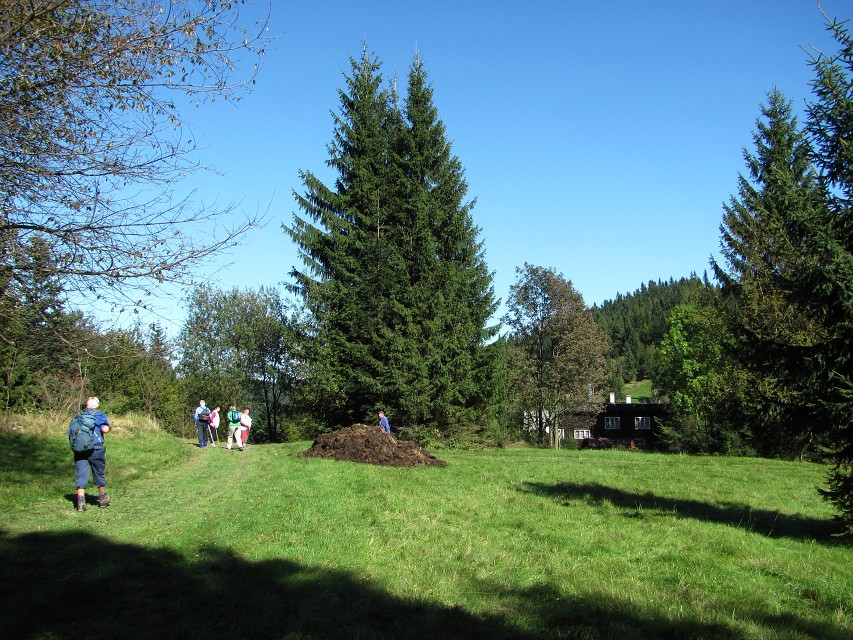 img00051.jpg