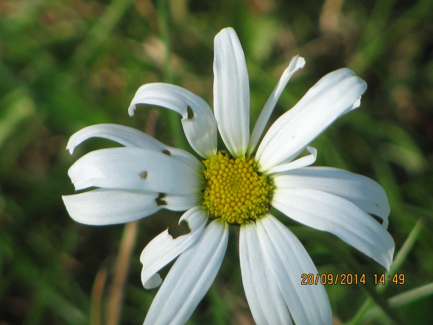 img00053.jpg