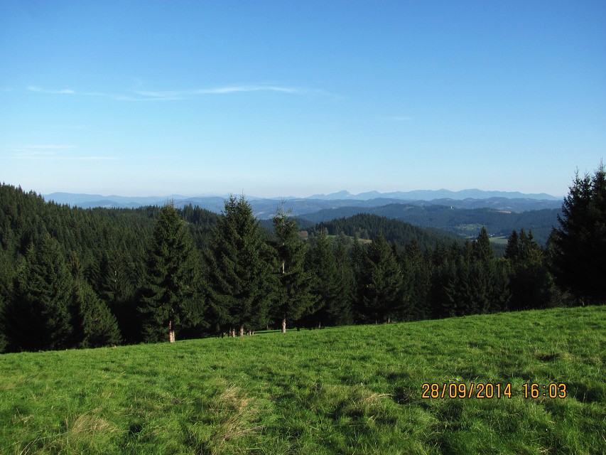 img00059.jpg