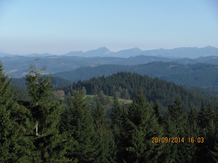 img00060.jpg