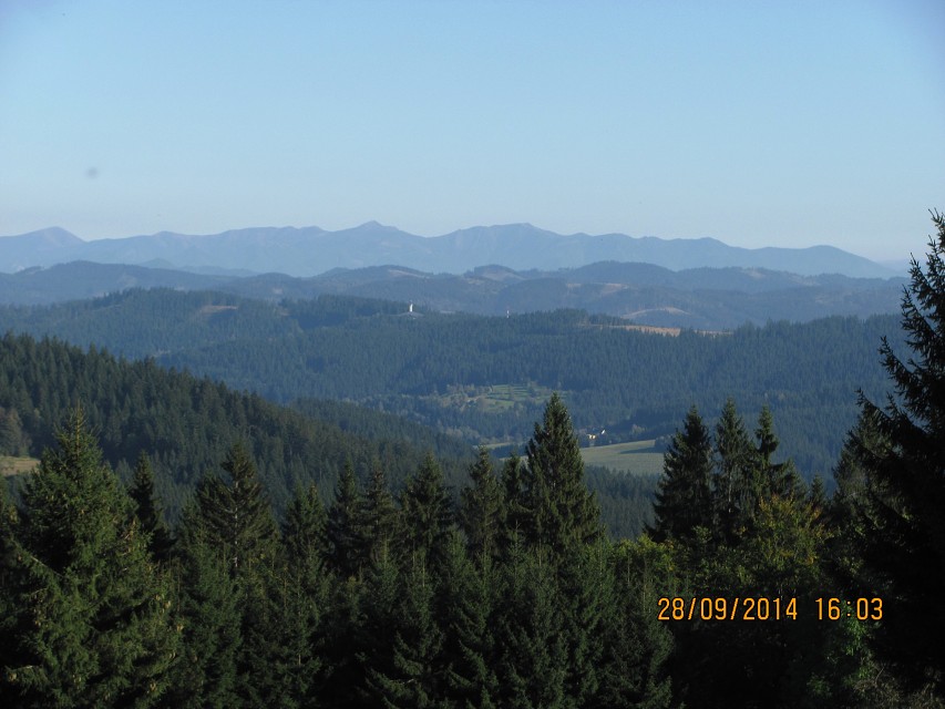 img00061.jpg