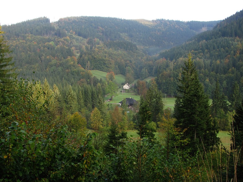 img00007.jpg