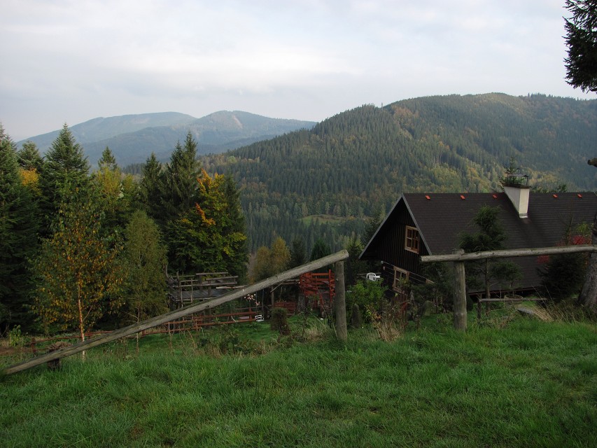 img00009.jpg