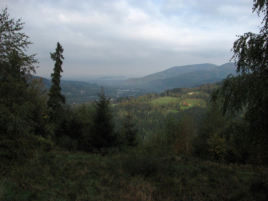 img00010.jpg