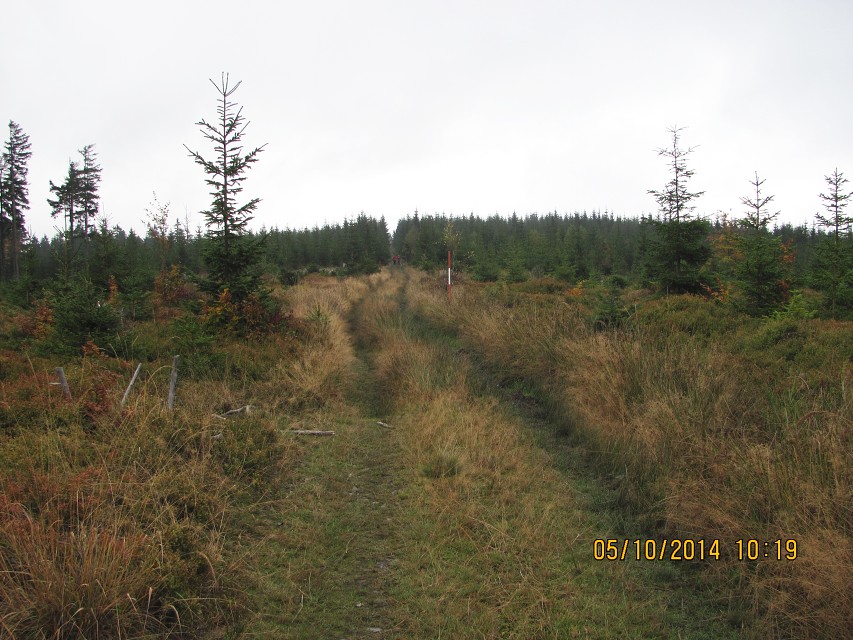 img00014.jpg