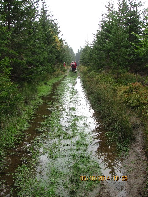 img00016.jpg