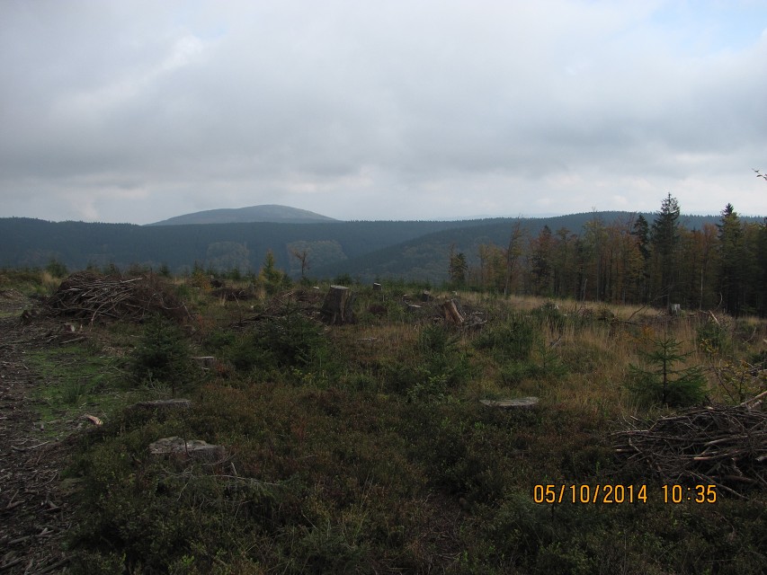 img00017.jpg