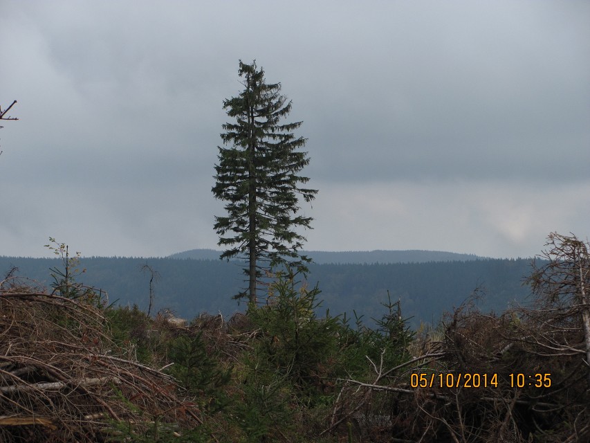 img00018.jpg