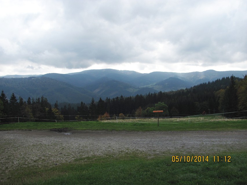 img00020.jpg