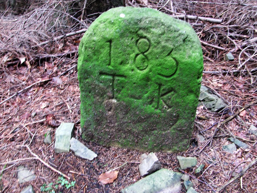 img00026.jpg