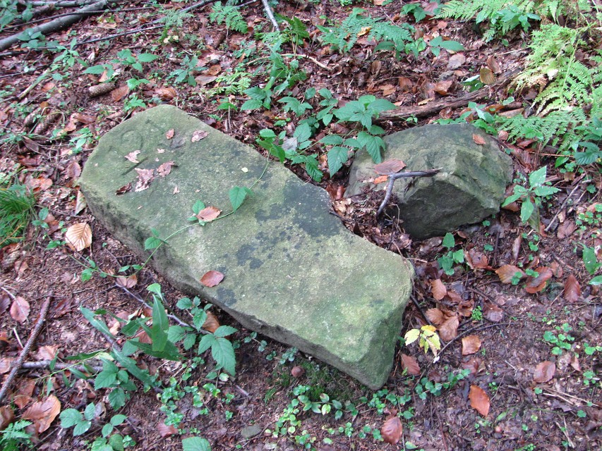 img00028.jpg