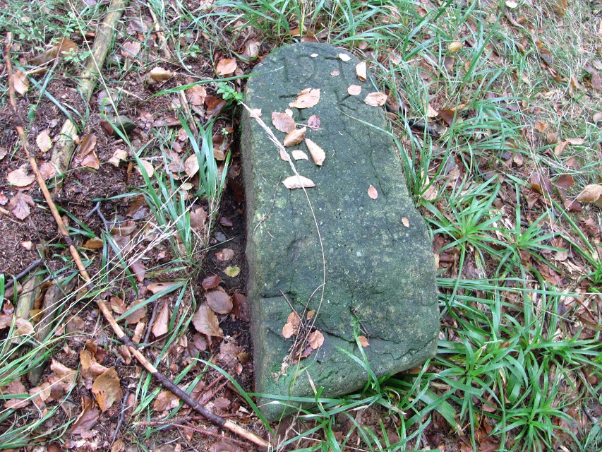 img00029.jpg