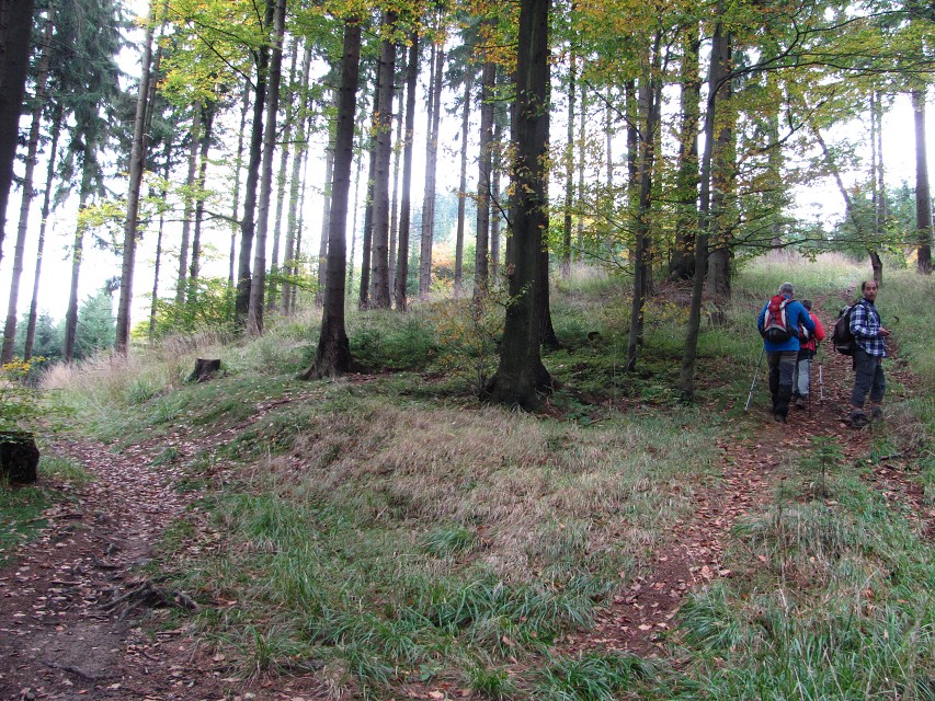 img00030.jpg